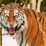 @nash_singh - Instagram