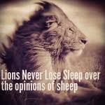 Nash Singh - @nash.singh.12382 - Instagram