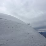 Nash Singh - @nash4648 - Instagram