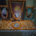 nash singh - @nashsingh81 - Instagram