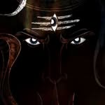 Nash Singh - @nashsingh108 - Instagram