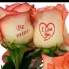 nashsingh0211077221 - @nashsingh0211077221 - TikTok