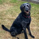 Nash Pooh Ward - @nashitoburrito - Instagram