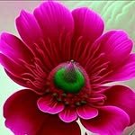 Nashad Ali - @nashad.ali.5836 - Instagram