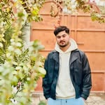 Nasim Alemi - @nasim_halemi1 - Instagram