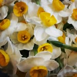 nasim.alemansour - @nasim.alemansour - Instagram