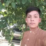 nasim soltani - @nasimsoltani4190 - Instagram