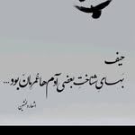 Nasima Omari - @nasima.omari - Instagram
