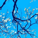насима - @nasima_omarova56 - Instagram