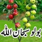 Nasir Abbas - Facebook