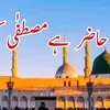 Nasir Awan - @nasir.awan028 - TikTok
