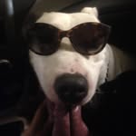 Nasir Johnson - @nastrodonte - Instagram