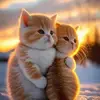 Nasreen Anwar - @nasreen.anwar68 - TikTok