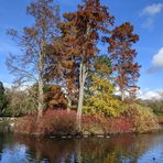 Nasreen Mustafa - Facebook