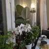 NASRIN MUSTAFA - @nasreenmustafa375 - TikTok