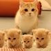 Nasreen Syed - Facebook