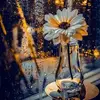 Nasreen Syed - @nasreen.syed05 - TikTok