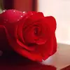 Nasreen Syed - @nasreensyed36 - TikTok