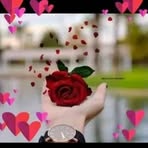 Nasrin Ali - Facebook