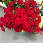 Nasrin Ali - Facebook