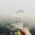 NasrinBashiri - @nasrinbashiri68 - Instagram