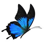 Nasrin Jahan - Facebook