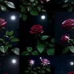 N@srin Mufti - @nas.rin.mufti.25 - Instagram