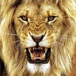 Abu Nadeem - @nasser_assaf_1973 - Instagram