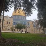 Nasser Assaf - Facebook