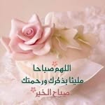 @nasserrahalii2023 - Instagram