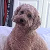 natcoxy21 - @natfreeman - TikTok