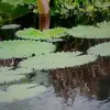 Nat Paul - @nat.paul4 - TikTok