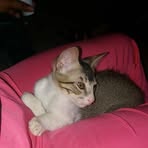 Natacha Rivera - Facebook