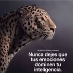 Natacha Rivera - @natacha.rivera.1806 - Instagram