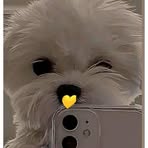 Natali Morillo - Facebook