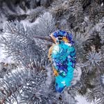 Наталья Басаргина - @basarginnatalia - Instagram