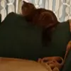 Natalie Brady - @natalie.brady01 - TikTok