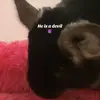Natalia Cunningham - @natalia.cunningha3 - TikTok