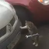 nataliaagrassii - @nataliaagrassii - TikTok