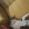 Natalia Ho - @natalia.ho5 - TikTok