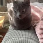 Natalia Jackson - Facebook