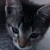 Natalia Mariscal - @nataliamariscal17 - TikTok