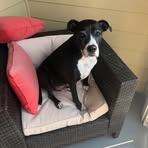 Natalie Shapiro - Facebook