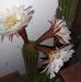 Natalina Simoni - Facebook
