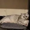 Наталия Терещенко943 - @nataliatereshchenko13 - TikTok