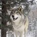 Natalya Wolf - Facebook