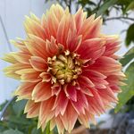 Natalie Appel - @raindropsandblooms - Instagram