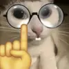 Natalie Kappeler - @nataliekappeler - TikTok