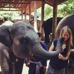 Natalie Bartlett - @npbartlett - Instagram