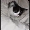 nataliebaure - @lacouillite - TikTok